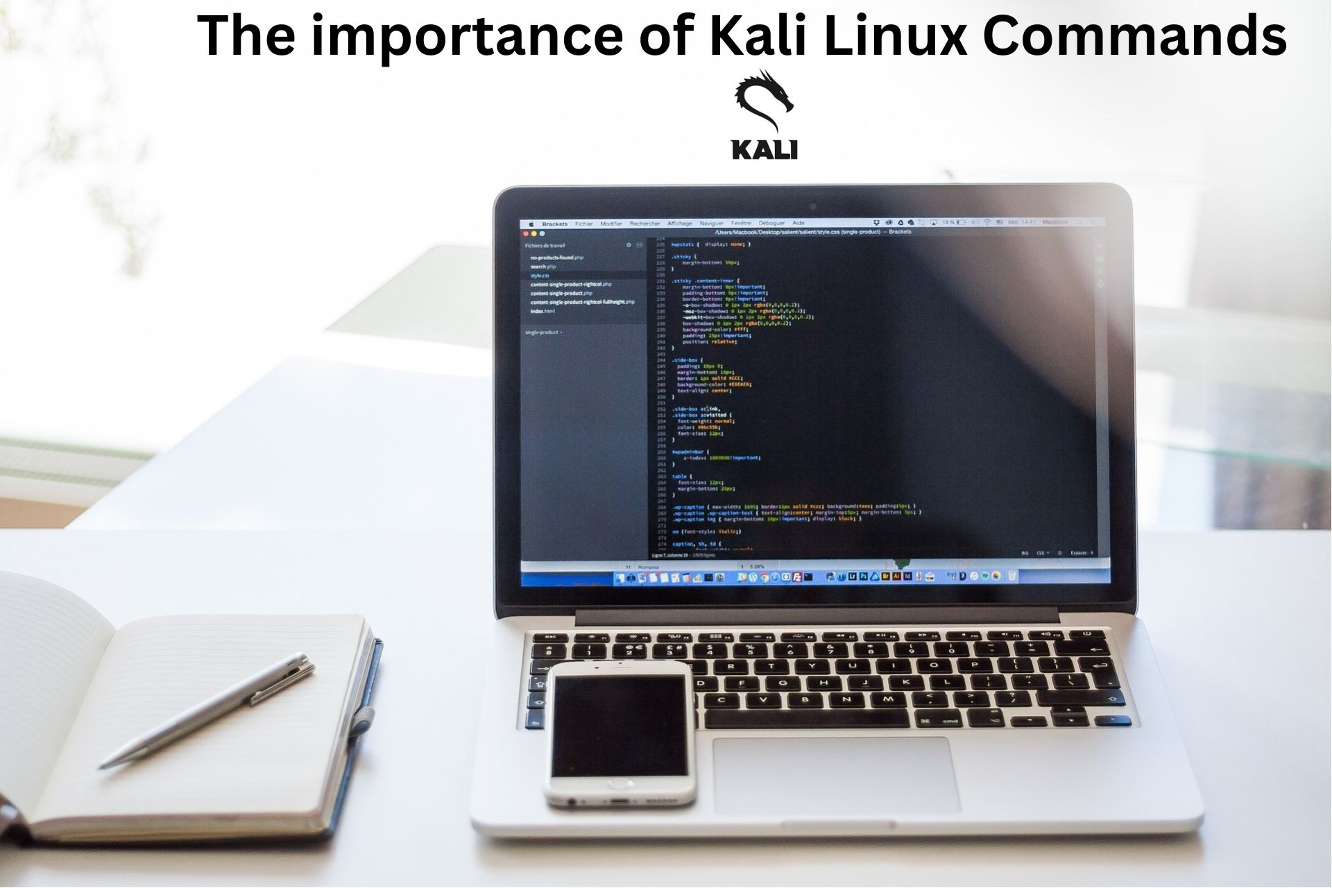 أهمية أوامر Kali Linux